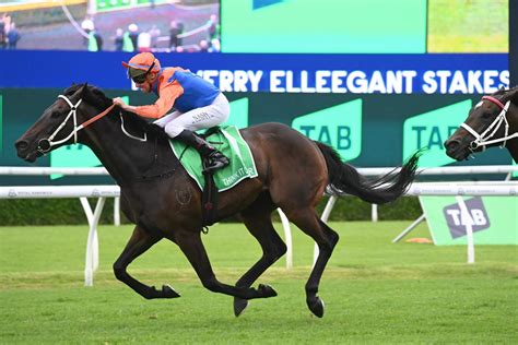 Ranvet stakes field 5 million Tancred Stakes (2400m) on the seven day turnaround following his fourth behind last year’s Tancred champion Verry Elleegant in the Group 1 Ranvet Stakes (2000m)