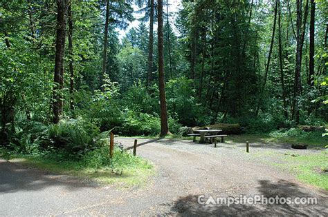 Rasar state park campsite photos <q>9025</q>