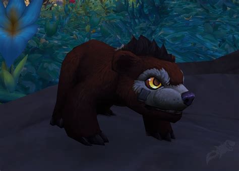 Razortooth bear cub  For wild pets this is usually "poor"
