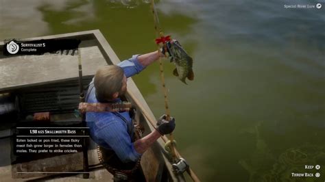Rdr2 catch fish while boating Fishing is a popular activity in Red Dead Redemption 2, and like in real life, finding the right spot is crucial to your success