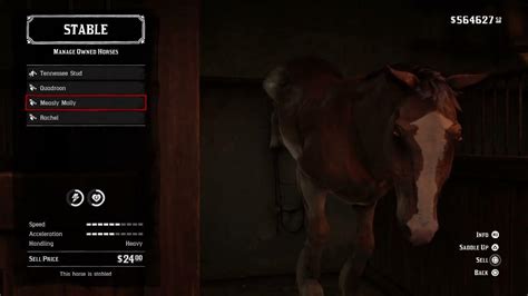 Rdr2 stable glitch  Thanks for the answers anyways