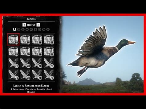Red dead redemption 2 flight feathers When you kill egrets, or herons, or some other birds, a prompt comes up that says something to the effect that you've acquired their feathers, and they can be given to collectors in the better parts of town