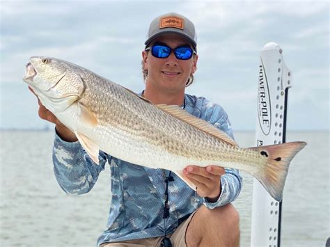 Redfish limits in texas  Current speckled trout limits allow anglers to keep 5 fish per day within the slot limit of 15”- 25”