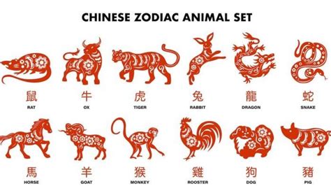 Result 4d shio tikus  Berdasarkan astrologi China, shio tikus adalah untuk mereka yang lahir pada 2032, 2020, 2008, 1996, 1984, 1972, 1960, 1948 dan 1936