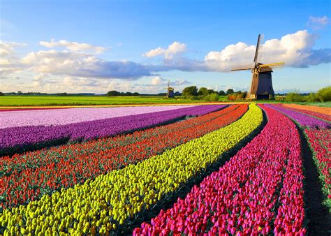 Result north holland day In 1890 Day had traveled to Oberammergau to see the famous once-a-decade Passion Plays and may well have seen a similar multimedia presentation that toured the East Coast, including Boston, later in the