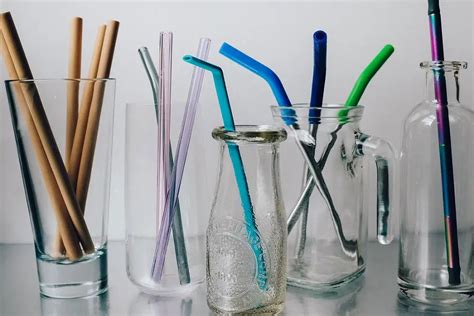 12PCS Silicone Straw Tips, Multicolored Food Grade Straws Tips Covers Only  Fit for 1/4 Inch Wide(6MM Outdiameter) Stainless Steel Straws-Multicolor