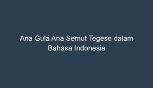 Ri tegese  Ia membawa sapu lidi lalu dilepas ikatannya