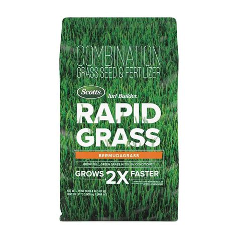 Rio bermuda grass seed  Water the lawn properly
