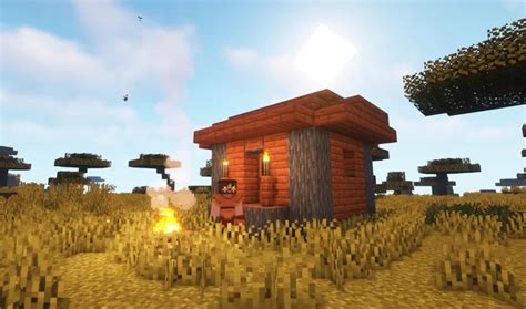 Roamers minecraft  Roamers Mod is a mod that adds fancy and weird characters to Minecraft, very human-like with the ability to build, mine, and craft