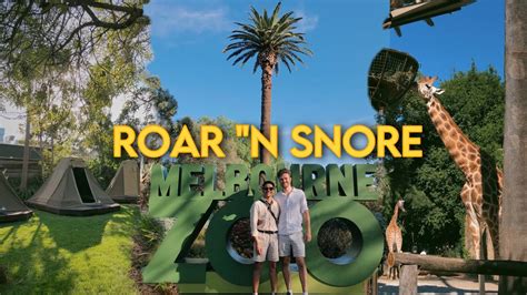 Roar and snore werribee zoo  Top Zoos & Aquariums in Victoria: See reviews and photos of zoos & aquariums in Victoria, Canada on Tripadvisor