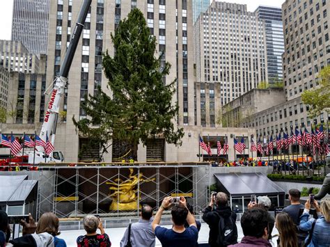 2024 Rockefeller Center Christmas Tree Arrives in N.Y.C. After