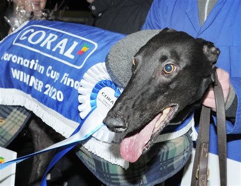 Romford dogs results  The total prize money for this race was £390, with the winner taking 1st £140, Others £50 