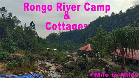 Rongo river camp & cottages reviews  ‏‏١٬٣٤٤‏ تسجيل إعجاب · كان ‏١٦٦‏ هنا‏