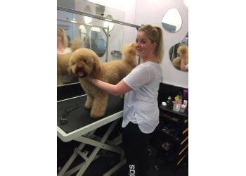 Ronnie's dog grooming bolton Ronnie’s dog grooming · 13h · 13h ·Reviews on Dog Grooming in Bolton, CT 06043 - Ruff Cuts Grooming, Golden Rule Grooming, Lazy Dog Pet Salon & Daycare, Companion Animal Dental Services, All 4 Paws Pet Care158