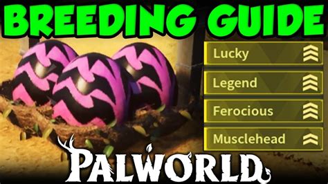 Roost ultimate breeding guide  You need a Roost to get the drops, and a Chicken breeder to be able to breed the chickens (and seeds)