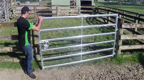 Rotary force cattle yards 6M, 3