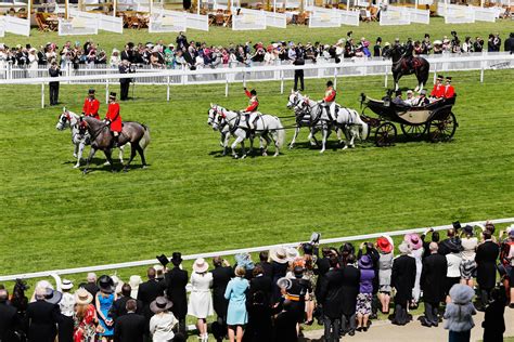 Royal ascot race card  Betting offers