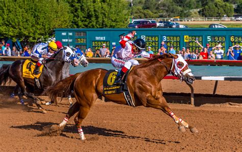 Ruidoso downs horse racing Ruidoso Downs Entries, Ruidoso Downs Expert Picks, and Ruidoso Downs Results for Friday, August, 5, 2022