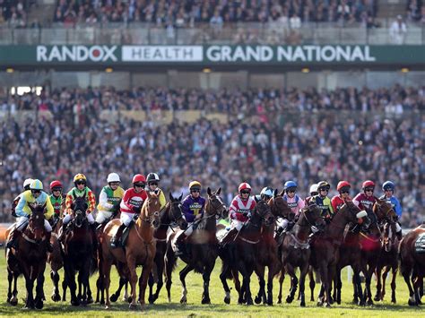 Runners riders grand national Punters are gearing up for the 2023 Grand National - and you can download and print your free sweepstake kit here, with all 40 runners and riders included