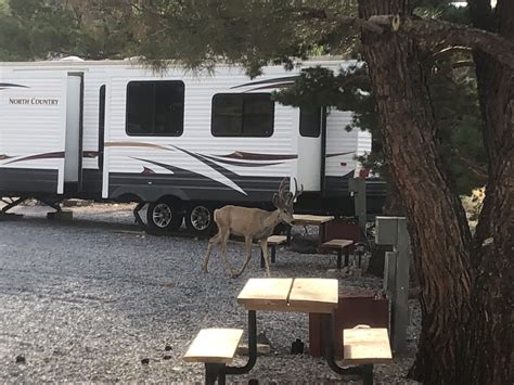 Rv rental in pioche nevada Jun 10, 2023 - Browse and Book from the Best Vacation Rentals with Prices in Pioche and nearby: View Tripadvisor's great deals on vacation rentals, cabins and villas in Pioche, NV and nearbySouth Forty RV Park