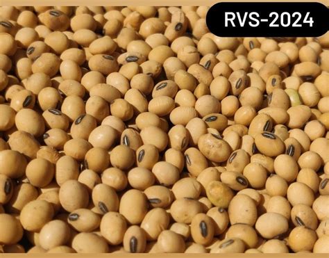 Rvs 2024 soybean  Soybean RVS-2024 30 Kg
