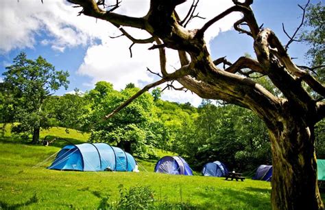 Rydal hall campsite  It took us several years to find the perfect location for our Yurts and Cabins