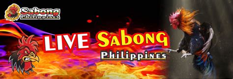 Sabongprince live login  Life360 takes security and privacy very seriously