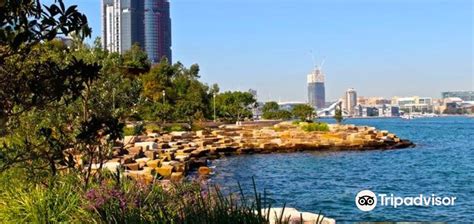 Salsa barangaroo 1 km from The Streets of Barangaroo