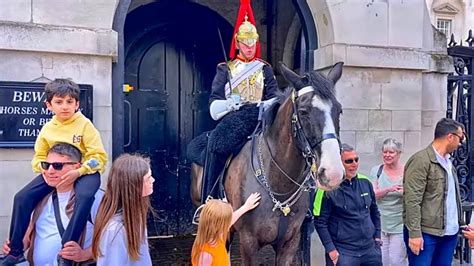 Sandra wilson horse  Every weekday, whatever the season or weather, members of the Household Cavalry