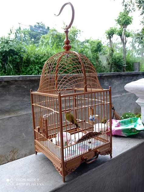 Sangkar burung 2d 1