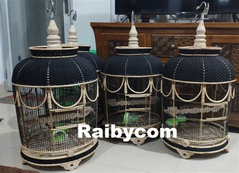 Sangkar burung togel 4d  Rp799