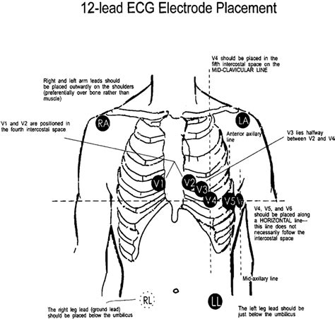 Sara electroday  2020, 10, 9907−9914 Read Online ACCESS Metrics & More Article Recommendations * sı Supporting Information ABSTRACT: Interfacial properties at the boundary between the electrode and Miss Sara Thomas is a junior research fellow at the Amrita Centre for Nanoscience & Molecular Medicine at Kochi, Kerala, India