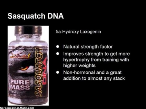 Sasquatch dna prohormone review 4 androstene 3b-ol, 17-one is a prohormone to 4-androstenediol