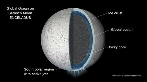 Saturn's moon discovered by cassini crossword clue In 2005, the Cassini orbiter discovered huge, 125-mile-high geysers spraying from the south pole of Enceladus, a small and icy moon that orbits Saturn