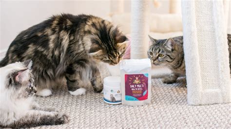 Scruffy paws nutrition reviews  Chronic Kidney Disease: A New Way for Kitty to Live by Stephanie Pollard - Fri, Oct 16, 20