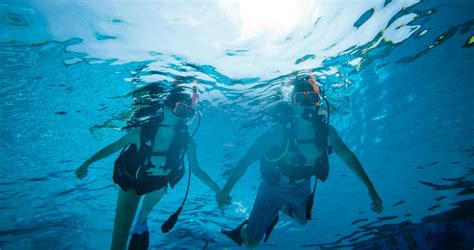 Scuba diving vacation packages all inclusive  Thomas Diving Club teams, but