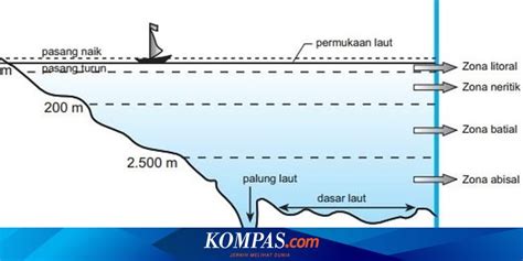 Sebutkan klasifikasi wilayah geographical association  Klasifikasi wilayah yang lain disampaikan oleh Geographical Association menerbitkan suatu laporan tentang klasifikasi wilayah dan membedakan antara kategori wilayah menurut jenis (generic region) dan klasifikasi wilayah menurut kekhususannya (specific region)