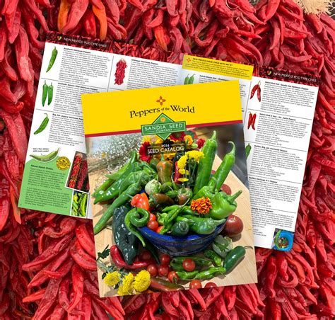 2024 Seed Catalog – Sandia Seed Company