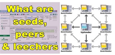 Seeders leechers peers meaning  To send or receive files, users use a BitTorrent