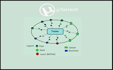 Seeds and leechers Torrent seeders, leechers, and peers oh my! Learn what these key torrenting concepts are and how they work, explained in plain English
