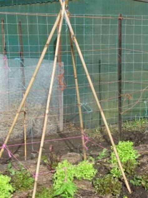 Selco trellis  Add to basket