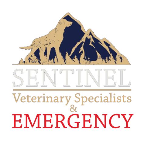 Sentinel vet missoula  Our goal is to provide excellent patient care in a friendly, compassionate atmosphere