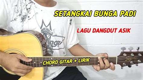 Setangkai bunga padi chord e 49