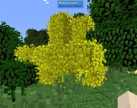 Sevtech mulberry tree  As fruit trees exit hibernation and the growing season restarts, the plant will shed its older leaves to preserve energy toward new growth