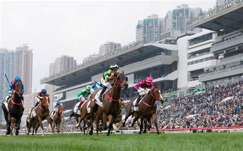 Sha tin race form  Fields and Form