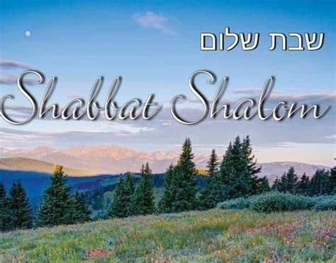 Shalom972 <b>nopuoC tuoba noitamrofni etad-ot-pu tsom eht dnif lliw sremotsuc ,etis aidem laicos S;93#&279molahS nO </b>