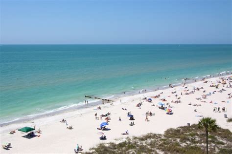 Shark boat tour madeira beach fl  1