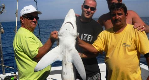 Shark fishing albufeira In Albufeira under its great weather you can find a large range of activities as excursions; boat tours; fishing trips; jeep trips; paintball; Segway; bullfight; Karts; buggies etc