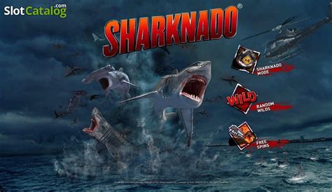 Sharknado rtp  The payout percentage tells you how much of your money bet will be paid out in winnings