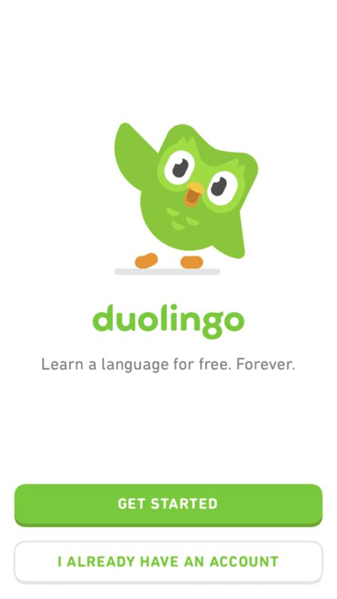 She is putting on a jacket in italian duolingo  Notes from Duolingo are copyrighted, and cannot be added here verbatim without permission